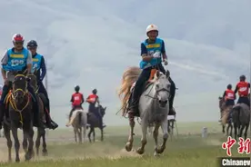 一家四代赛马手 锡林郭勒草原上的“马背传承”图片