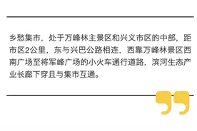 政前方V记录｜在兴义万峰林乡愁集市寻找乡愁图片