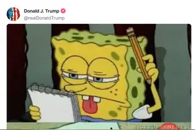 美媒：要求联邦雇员“交周报”引争议，特朗普马斯克发“海绵宝宝”梗图调侃回应图片