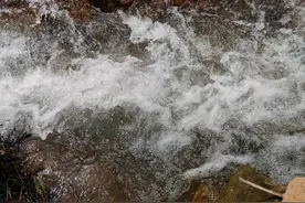 毗河供水一期工程2024年抗旱应急调水工作正式开始图片