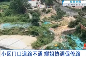 武汉一小区交付后，门口道路不通，业主自己修路……图片