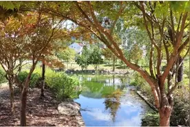 宁德屏南：治水焕新颜 绘就生态宜居新画卷图片