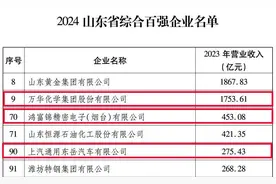 烟台黄渤海新区3家企业入围2024“山东百强”图片