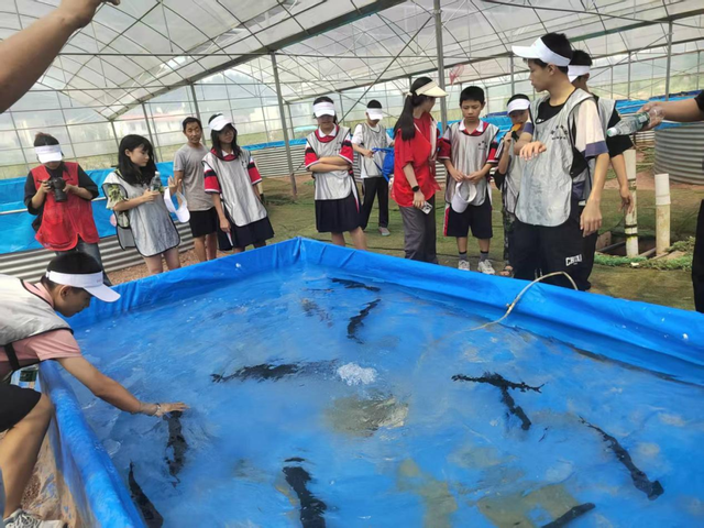 简阳AAA级林盘景区+1！