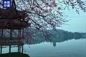 当中国色遇上锦绣山河 被中式美学“硬控”了图片