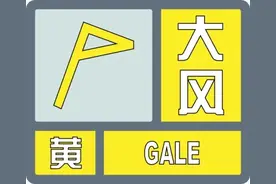 阵风9至10级，局地11级！山东德州预警继续图片