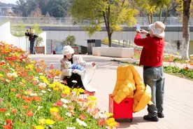 美好生活在云南｜昆明盘龙区：从春节嗨到春天！这些“花样”别错过→图片