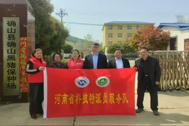 精准服务 破解黑猪保种难题图片