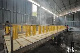 湴江腐竹焕发新活力 “小作坊”提级“大厂房”图片