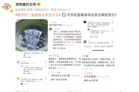 每天吃一盒蓝莓会发生什么？皮肤真的会变白？视力真的会变好？图片