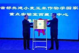 黑麦增产78%，玉米增产220%……河南农大为西藏现代农业发展注入新动力图片