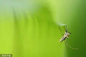 注意！这两种除蚊产品一起用，会爆燃！图片