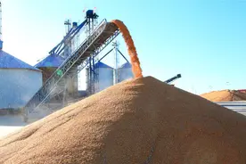 194.1亿斤！通辽市粮食产量再创新高图片