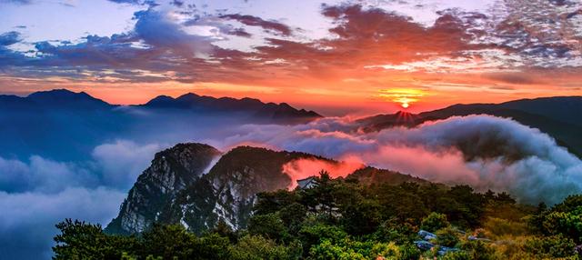 一花一瀑一云烟，庐山春意正当时