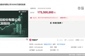 1.5亿股股权被1.76亿元拍下，国宝人寿股权“变变变”图片