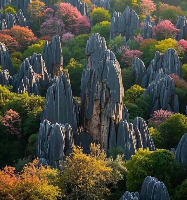 石林的冬天，藏着“延迟版”秋景