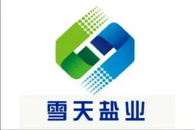 净利润同比减少八成！雪天盐业：受宏观经济及市场变化的影响图片