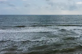 超强台风“摩羯”来袭 澳门发出八号东北风球图片