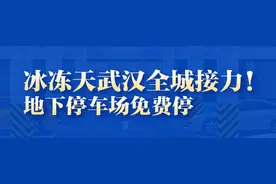 武商集团旗下三大商业体免费停车图片