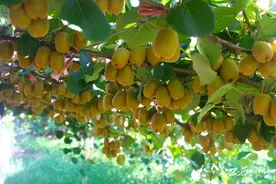 “反向旅游”火出圈 盘点几个值得一去的宝藏小城图片