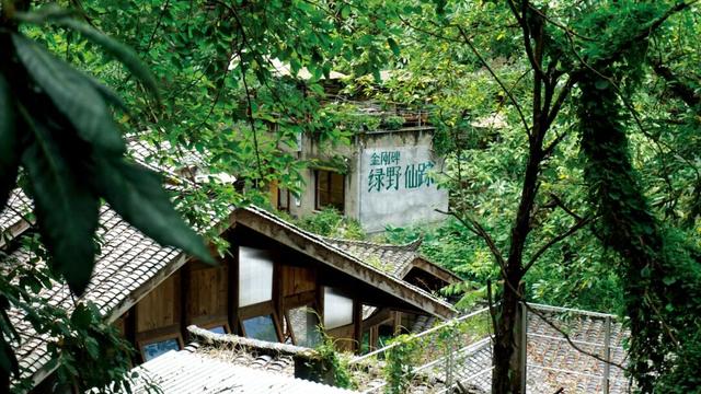 大一新生入校攻略③ | 学姐带你逛缙云山，赏书香缱绻