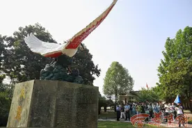 【发现最美铁路】汉中洋县：“孤羽重生”擦亮“朱鹮之乡”生态名片图片