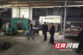 低庄镇：全域出击筑牢安全防线 全面排查织密防控网络图片