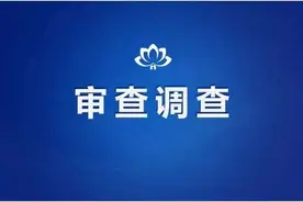 上海市两名村干部被查图片