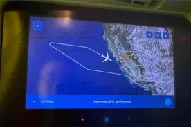 飞往上海的一航班，突然掉头折返！乘客：机长忘带护照了图片