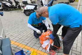 朝阳一小区电线短路156户居民受影响，社区10小时抢修恢复图片