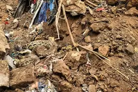 100斤！厦门新机场挖出两条巨蟒图片