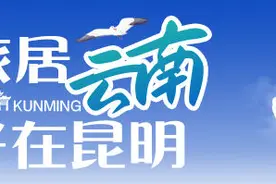 “板扎昆明·畅购春城”提振消费系列活动全面启动图片