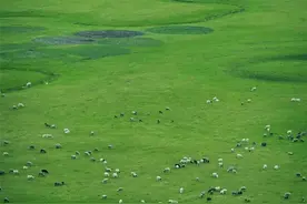 闯关东、游漠河、逛草原，中俄蒙朝边境风光一次看遍图片