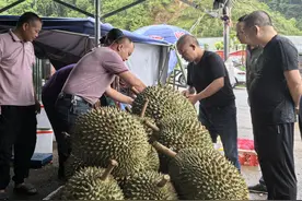 广西靖西农商银行：构建“口岸金融”新生态 铺就兴边富民路图片