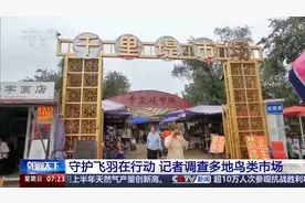 国家级保护鸟类在市场“随便卖”！盗猎鸟类黑灰产业链曝光图片