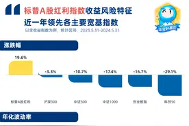 红利定投，更适合打工人的投资法图片