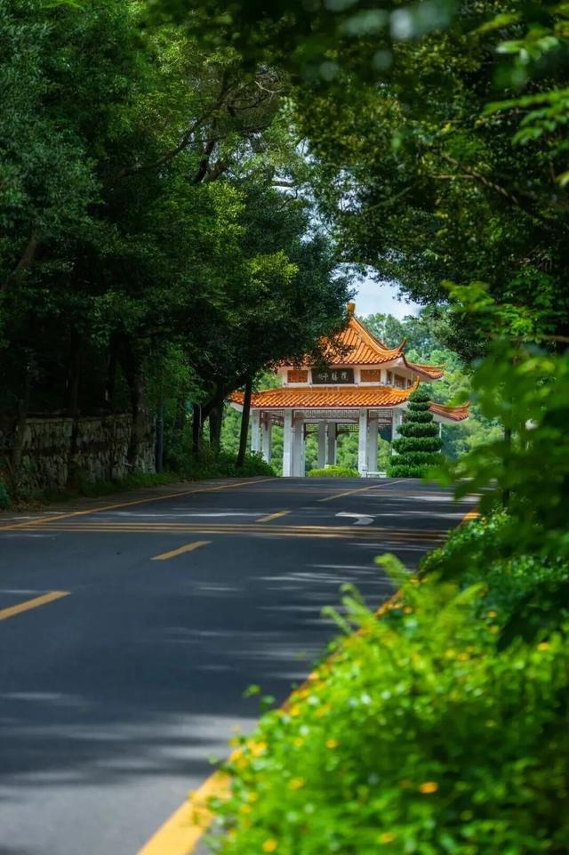 “春运都没这么多人”！深圳知名景区刷屏，网友纷纷“劝退”！