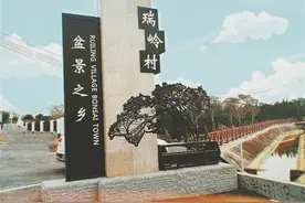 “百千万”打破次元壁 | 人工智能“爆改”百年盆景村图片