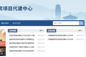 专业的事给专业的人干！河南出台省级政府投资项目代建管理办法图片