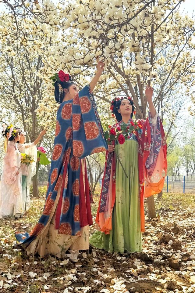 郁金香盛放，花朝启雅韵！4月3日赴鲜花港之约