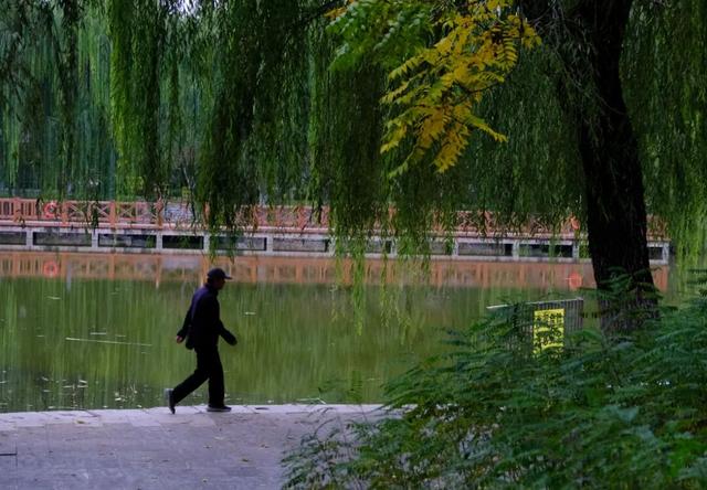 「外包儿女」：拿人钱财，替人尽孝