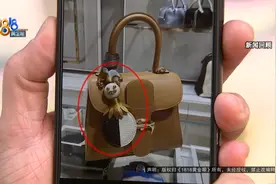 四万五的包没了“小丑”，店家拿出监控，顾客强调前提……你怎么看？图片
