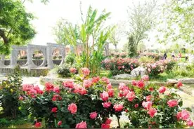 昆明：“五一”不远行 逛逛公园也不错图片