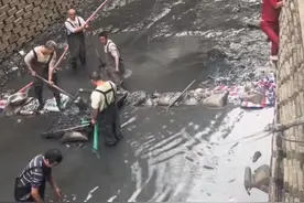 全网围观佛山打捞“天价翡翠”，已找到！当地称刚好遇到清淤图片