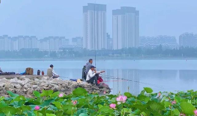 南海露营攻略：邂逅星辰大海 沉醉湿地松林