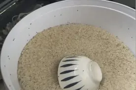 头皮发麻！女子厨房发现这一幕，近期高发赶紧速查图片