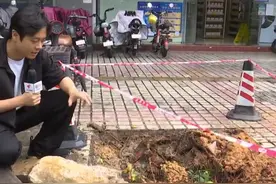 广州花都10米高榕树被吹倒，横跨路面砸中三车图片