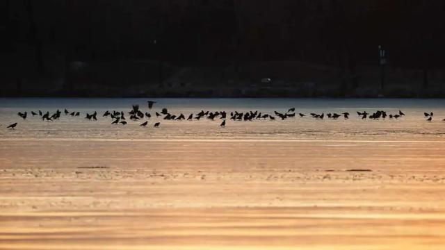 冬天来圆明园看海，邂逅一场宁静！