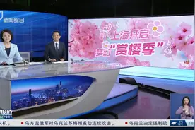 2025樱花节明日“焕新上演”预计3月底可赏“夜樱”