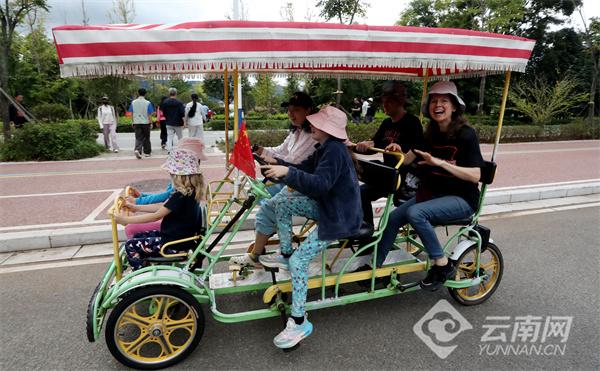 芦苇秋景美如画 生态休闲度假日